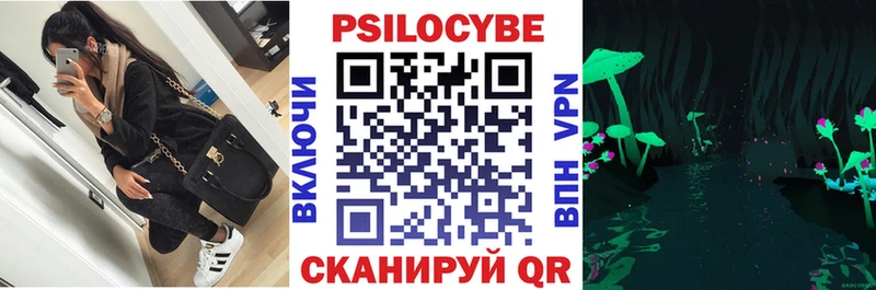 Купить Вилючинск Псилоцибиновые грибы Psilocybe