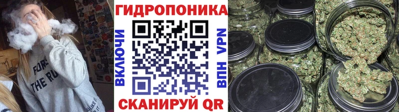 Бошки Шишки Bruce Banner  Купить закладки  Вилючинск 